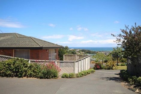 Photo of property in 1/4 Elliffe Place, Shiel Hill, Dunedin, 9013