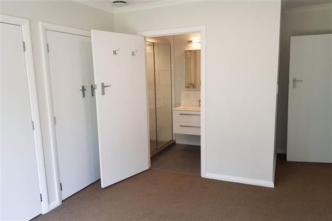 Photo of property in 56 Rayburn Avenue, Papanui, Christchurch, 8053