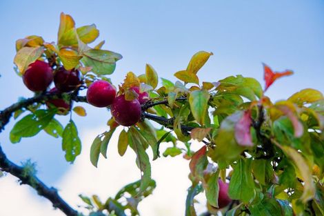 Photo of property in 759 Mount Fyffe Road, Kaikoura Flat, Kaikoura, 7371