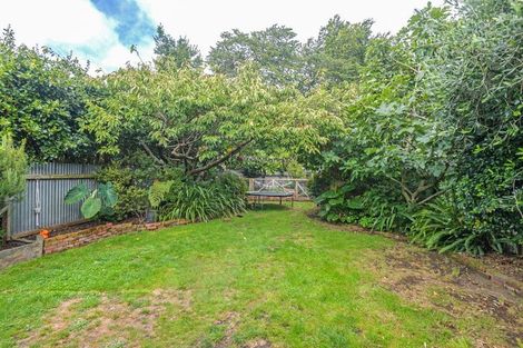 Photo of property in 52 Bourke Street, Palmerston North, 4410