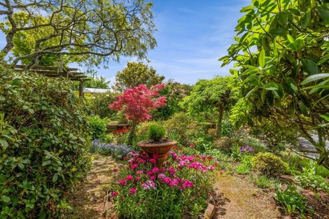 Photo of property in 37 Cassandra Street, Stratford, 4332