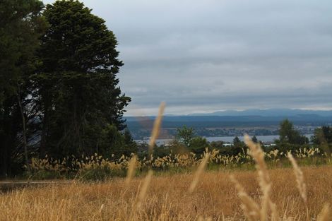 Photo of property in 16 Walnut Lane, Nukuhau, Taupo, 3330