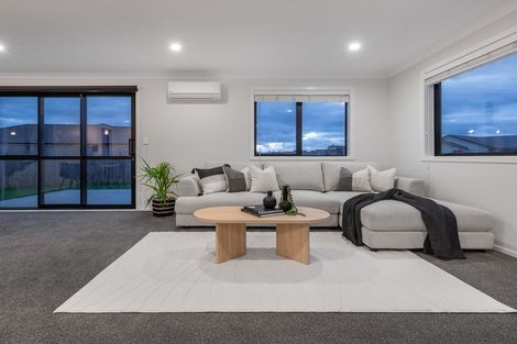 Photo of property in 79 Hinemoa Street, Levin, 5510