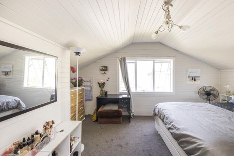 Photo of property in 53 Limbrick Street, Terrace End, Palmerston North, 4410