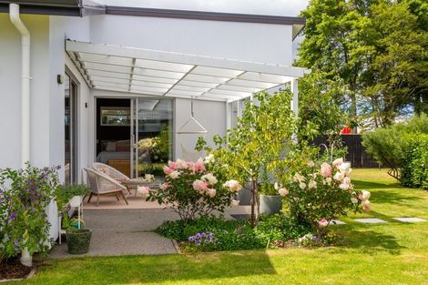 Photo of property in 20 Whatman Avenue, Masterton, 5810