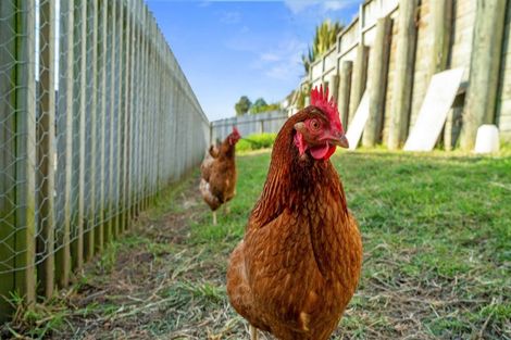 Photo of property in 33 Jane Way, Hairini, Tauranga, 3112