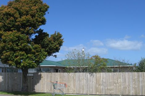 Photo of property in 52a Crane Street, Mount Maunganui, 3116