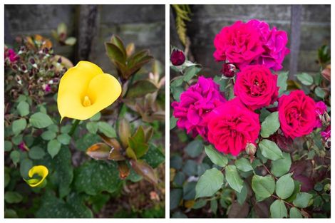 Photo of property in 90a Jonathon Street, Brookfield, Tauranga, 3110