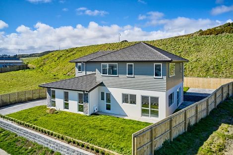 Photo of property in 113 Queen Charlotte Drive, Aotea, Porirua, 5024