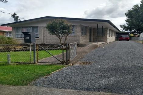 Photo of property in 20 Station Street, Tirau, 3410