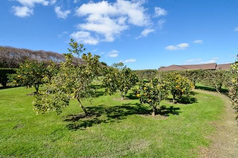 Photo of property in 198 Oraha Road, Kumeu, 0892