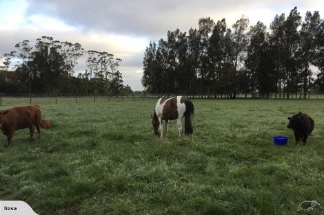 Photo of property in 2253 State Highway 16, Helensville, 0875