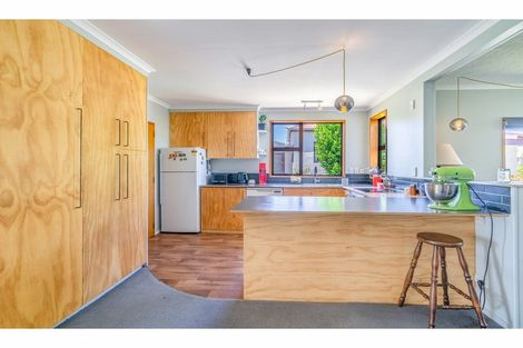 Photo of property in 17 Fastnet Street, Alexandra, 9320