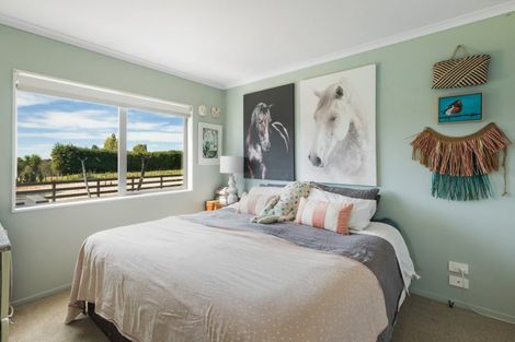 Photo of property in 126 Willoughby Road, Tahawai, Katikati, 3170