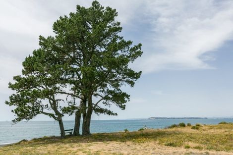 Photo of property in 70 Le Quesne Road, Bay View, Napier, 4104