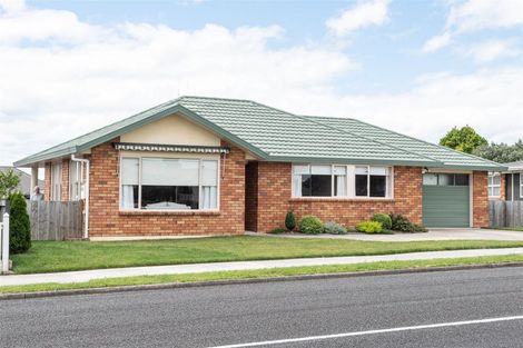 Photo of property in 370 Mandeno Street, Te Awamutu, 3800