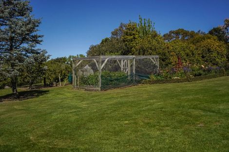 Photo of property in 257 Cathedral Road, Domett, Cheviot, 7383