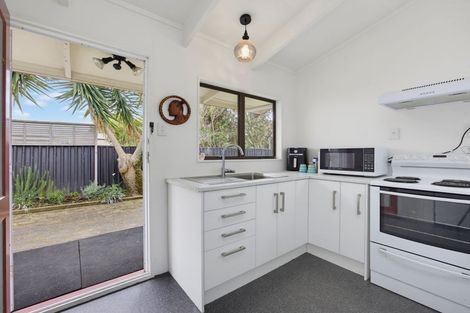 Photo of property in 133 Tiro Tiro Road, Levin, 5510