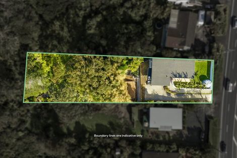 Photo of property in 137 Albany Highway, Unsworth Heights, Auckland, 0632