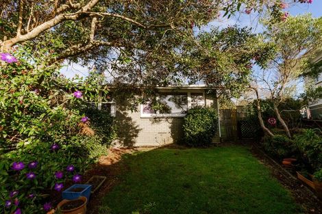 Photo of property in 6 Magenta Place, Dinsdale, Hamilton, 3204