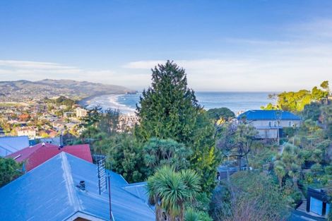 Photo of property in 118 Bedford Street, Saint Clair, Dunedin, 9012