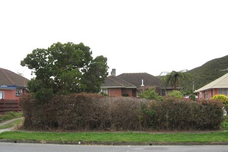 Photo of property in 118 Hewer Crescent, Naenae, Lower Hutt, 5011