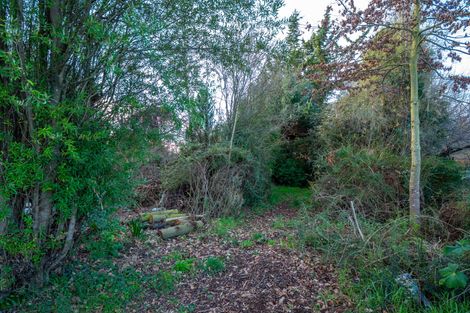 Photo of property in 610 Woodbury Road, Woodbury, Geraldine, 7991