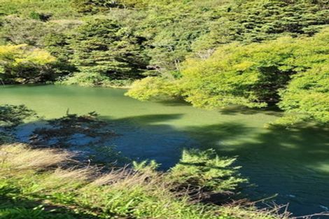 Photo of property in 119 Wairoa Gorge Road, Wairoa Valley, Brightwater, 7091
