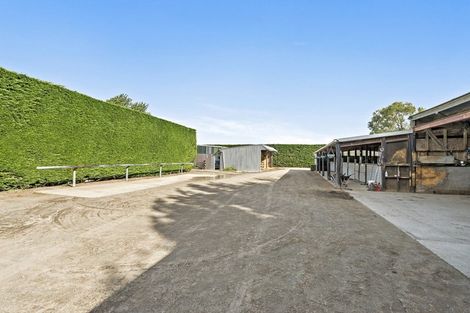 Photo of property in 139 Harmans Road, Leeston, 7682