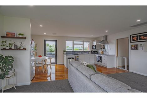 Photo of property in 48 Pages Road, Marchwiel, Timaru, 7910