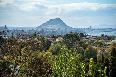 Photo of property in 3175l Ohauiti Road, Ohauiti, Tauranga, 3173