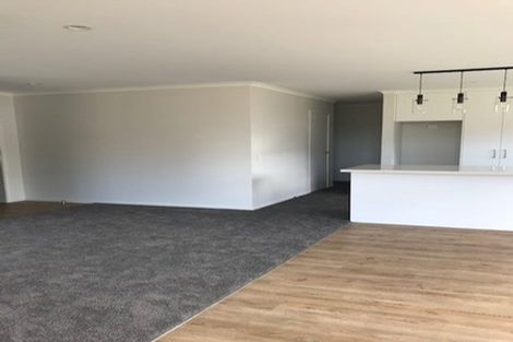 Photo of property in 11 George Fyfe Way, Wakefield, 7025