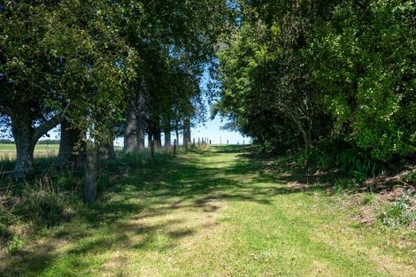 Photo of property in 202 Ngamotu Road, Rerewhakaaitu, Rotorua, 3073