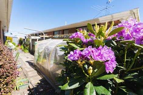 Photo of property in 185b Gordon Road, Mosgiel, 9024