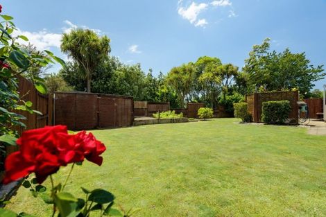 Photo of property in 125 Sterling Gate Drive, Bethlehem, Tauranga, 3110