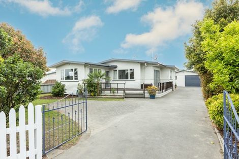 Photo of property in 66 Guppy Road, Greenmeadows, Napier, 4112