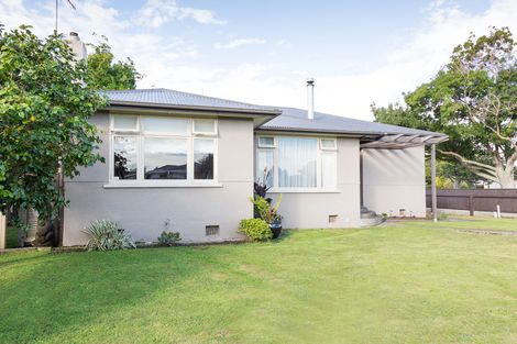 Photo of property in 53 Wood Street, Takaro, Palmerston North, 4410