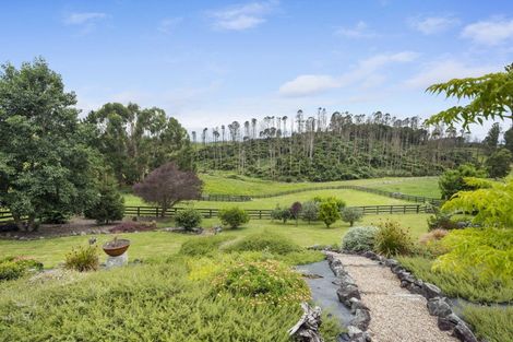 Photo of property in 31 Wildwood Lane, Matamata, 3472