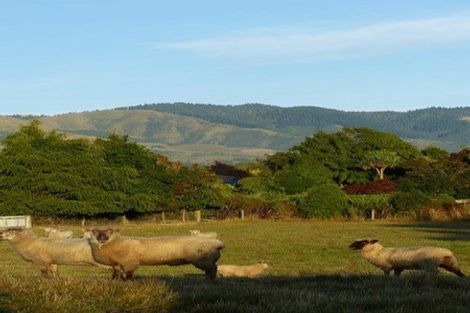 Photo of property in High Street, Waimate, 7924