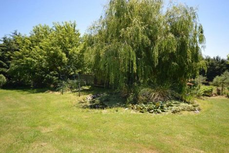 Photo of property in 56 Daniels Road, Normanby, Timaru, 7971