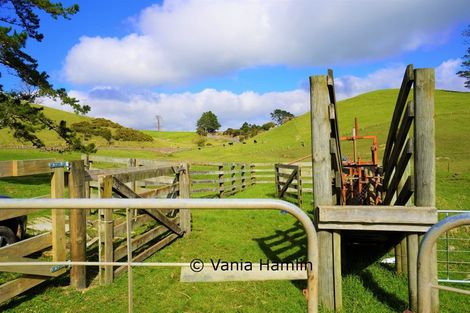 Photo of property in 533 Pataua South Road, Pataua South, Onerahi, 0192