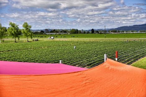 Photo of property in 12 Huna Road, Coastlands, Whakatane, 3191