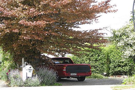 Photo of property in 17 New Renwick Road, Redwoodtown, Blenheim, 7201