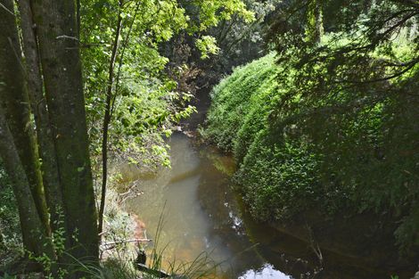 Photo of property in 67 Mangapai Caves Road, Mangapai, Whangarei, 0178