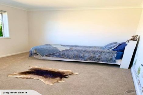 Photo of property in 91 Bert Wall Drive, Omokoroa, 3114