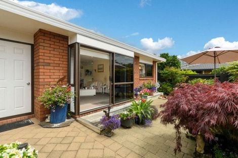 Photo of property in 3b Percival Avenue, Matua, Tauranga, 3110