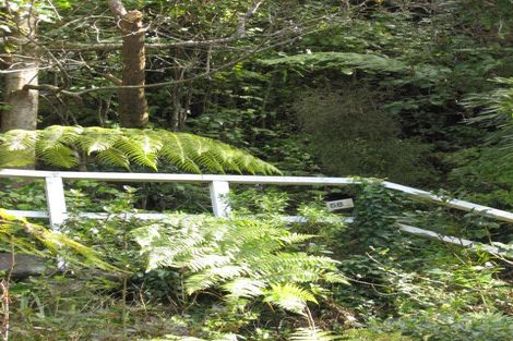 Photo of property in 58 Hatton Street, Karori, Wellington, 6012