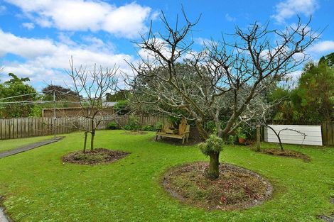 Photo of property in 12 Nelson Street, Helensville, 0800