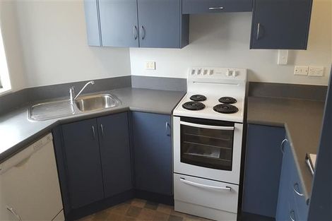 Photo of property in 2/105 Barbour Street, Waltham, Christchurch, 8011