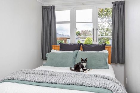 Photo of property in 194 Clarkin Road, Fairfield, Hamilton, 3214